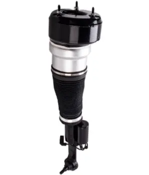 Air Suspension Strut (125AS2547R)