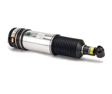 Air Suspension Strut (1160AS2980)