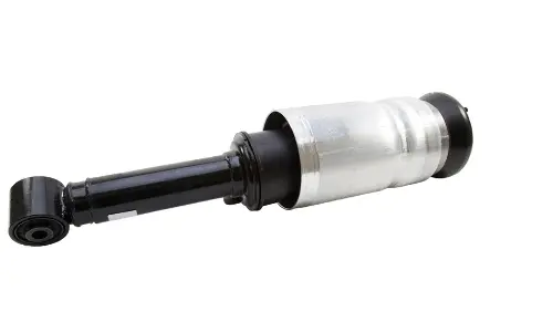 Air Suspension Strut (125AS2809R)