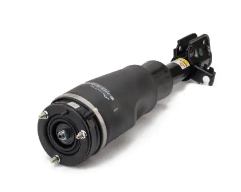 Air Suspension Strut (1160AS2961)