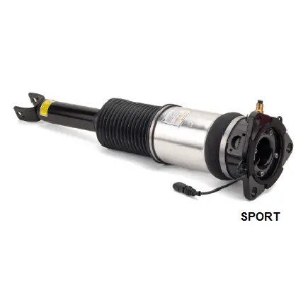 Air Suspension Strut (1160AS2966)