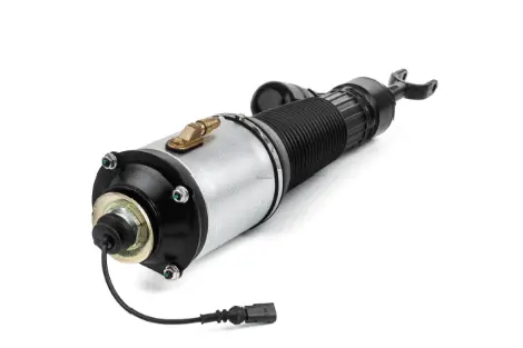 Air Suspension Strut (125AS2580R)