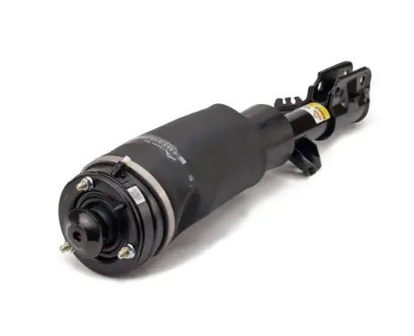 Air Suspension Strut (1160AS2796)
