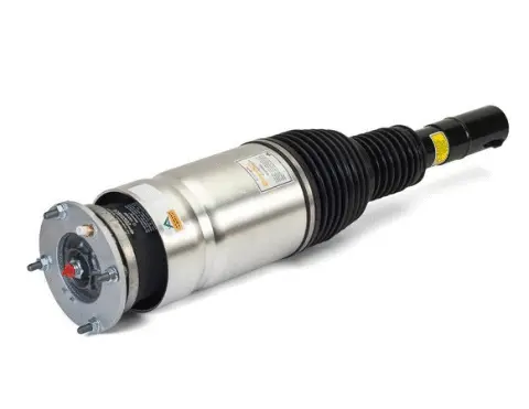 Air Suspension Strut (1160AS3067)