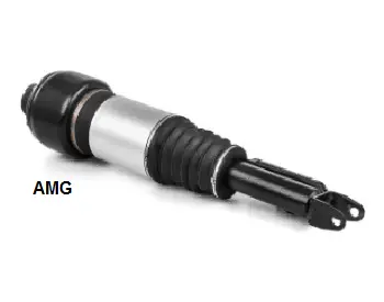 Air Suspension Strut (125AS2300R)