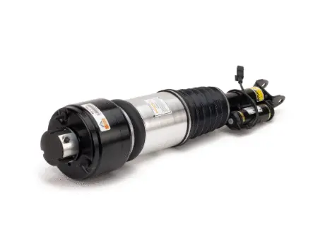 Air Suspension Strut (1160AS2786)