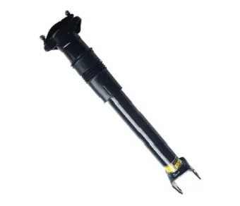 Air Suspension Strut (1650SK2231)