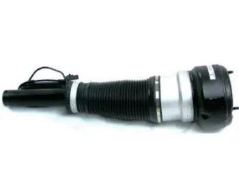 Air Suspension Strut (125AS2540R)