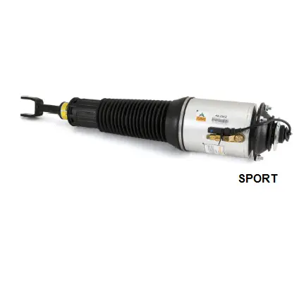 Air Suspension Strut (1160AS2562)