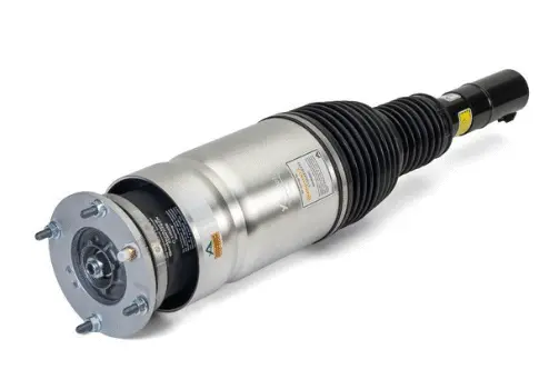 Air Suspension Strut (1160AS3069)