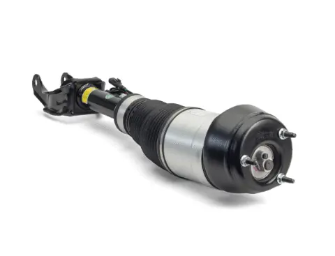 Air Suspension Strut (1160AS3061)