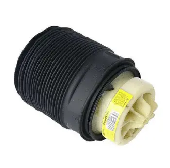 Air Spring, suspension (12500A2790)