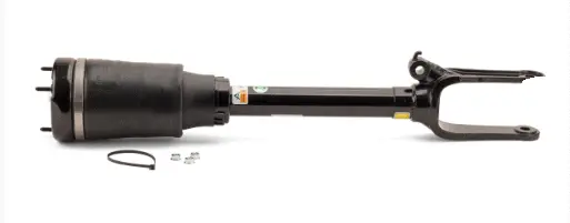 Air Suspension Strut (1160AS2789)