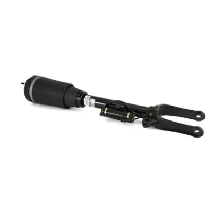 Air Suspension Strut (1160AS2450)