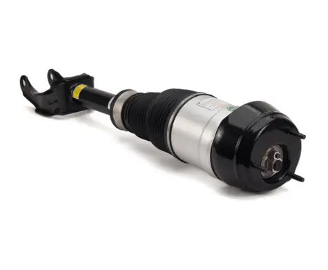 Air Suspension Strut (1160AS3086)