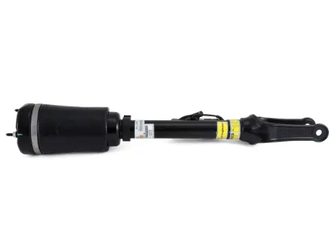 Air Suspension Strut (1160AS2463)