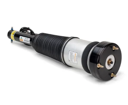 Air Suspension Strut (1160AS2820)