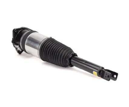 Air Suspension Strut (125AS2968R)