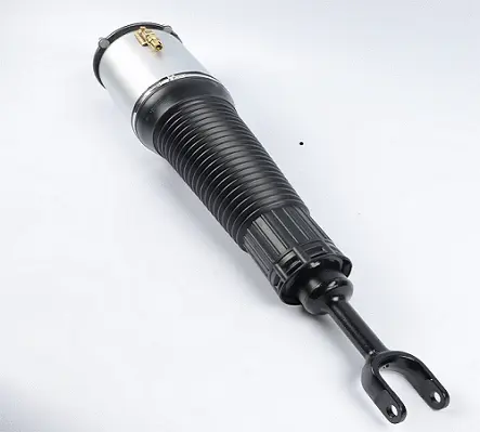 Air Suspension Strut (125AS2561R)