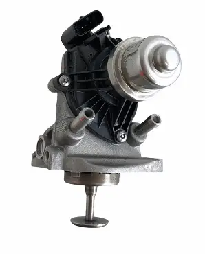 EGR valve, exhaust control