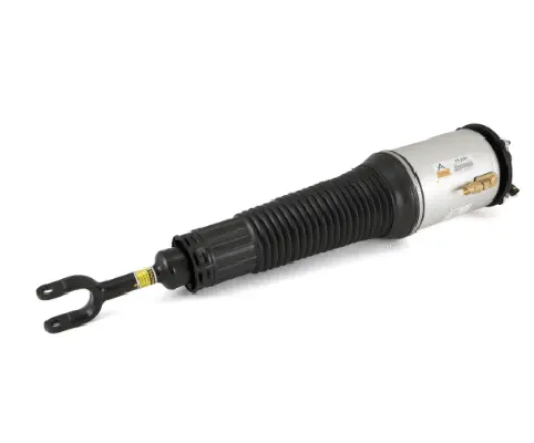 Air Suspension Strut (1160AS2560)