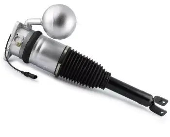Air Suspension Strut (125AS8100R)