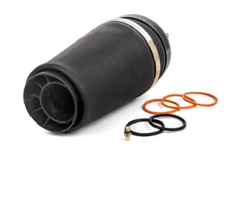 Air Spring, suspension (12500A2933)