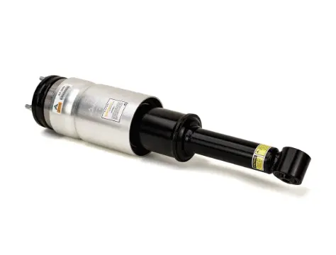 Air Suspension Strut (1160AS2809)
