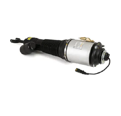 Air Suspension Strut (1160AS2581)