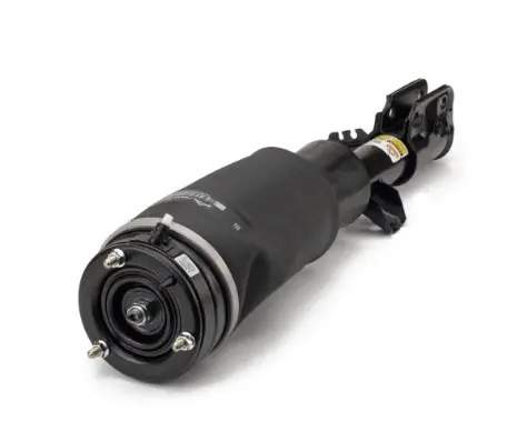 Air Suspension Strut (1160AS2962)