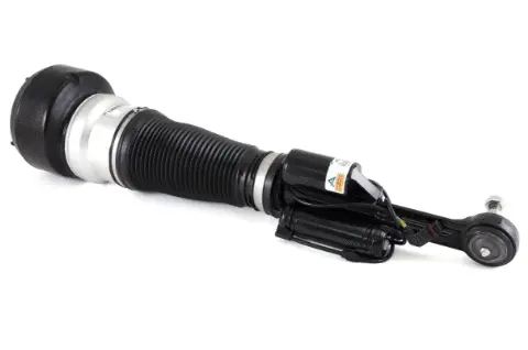 Air Suspension Strut (1160AS2547)