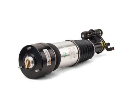 Air Suspension Strut (1160AS2783)