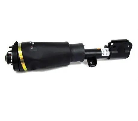 Air Suspension Strut (1160AS2517)
