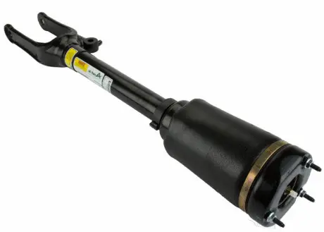 Air Suspension Strut (1160AS2451)