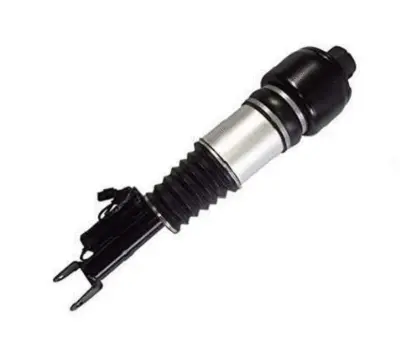 Air Suspension Strut (125AS2245R)