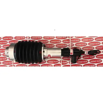 Air Suspension Strut (187AS2744R)