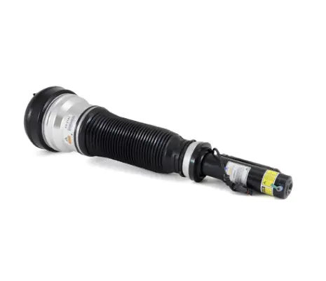 Air Suspension Strut (1160AS2193)
