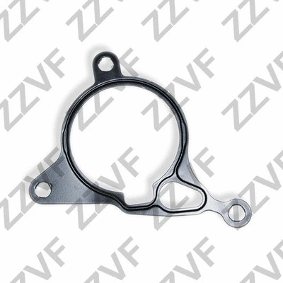 Gasket, vacuum pump (ZVBZ0313)