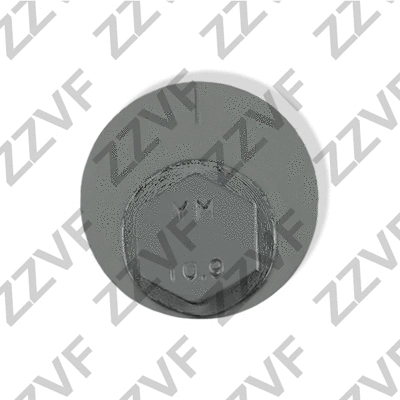 Camber Correction Screw
