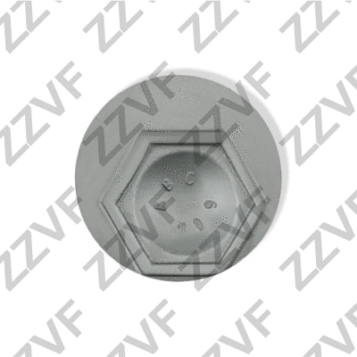 Camber Correction Screw