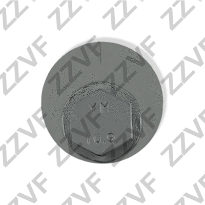 Camber Correction Screw