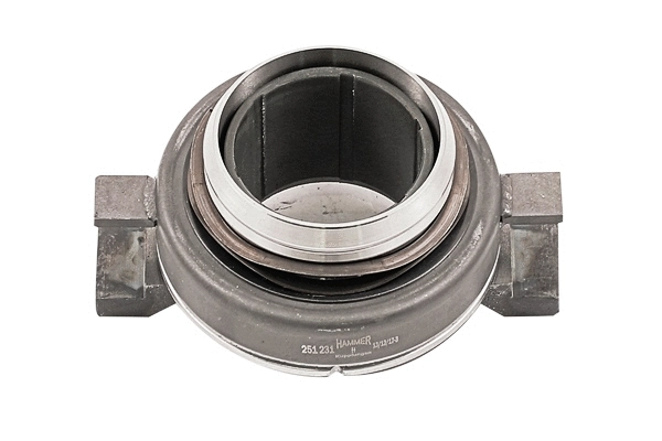 Clutch Release Bearing (251 231)