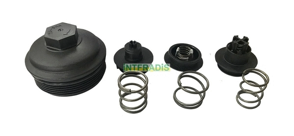 Cap, oil filter housing (2969)