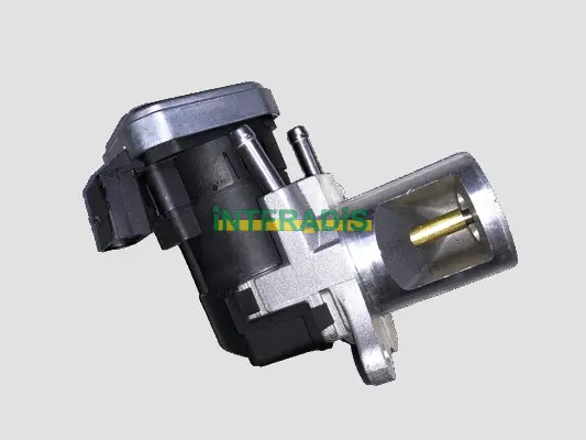 EGR Valve (25454)