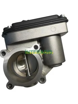 Throttle Body (28031)
