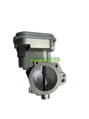 Throttle Body (28061)