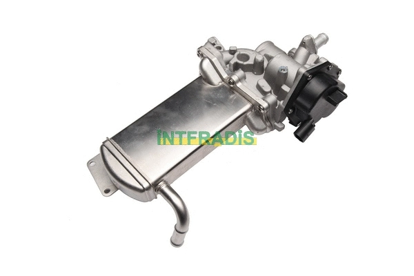 EGR Valve (25983)