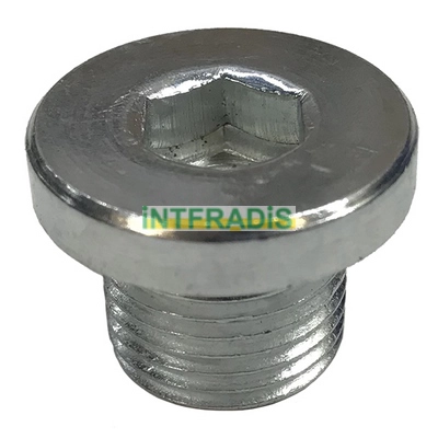 Screw Plug, oil sump (304)