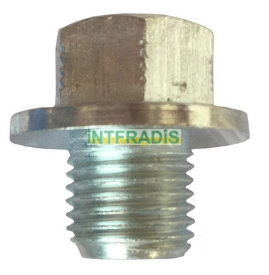 Screw Plug, oil sump (306)