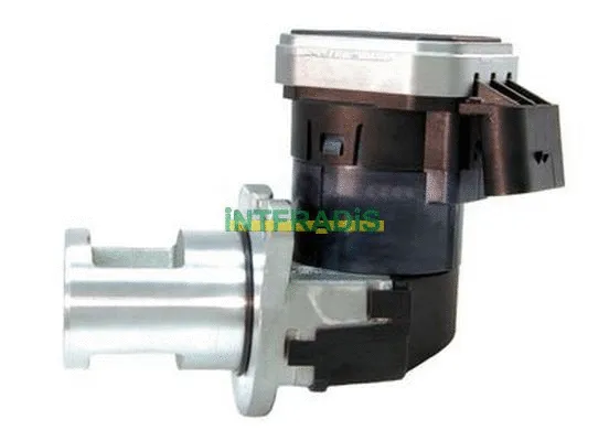 EGR Valve (2549)